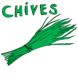 Chives